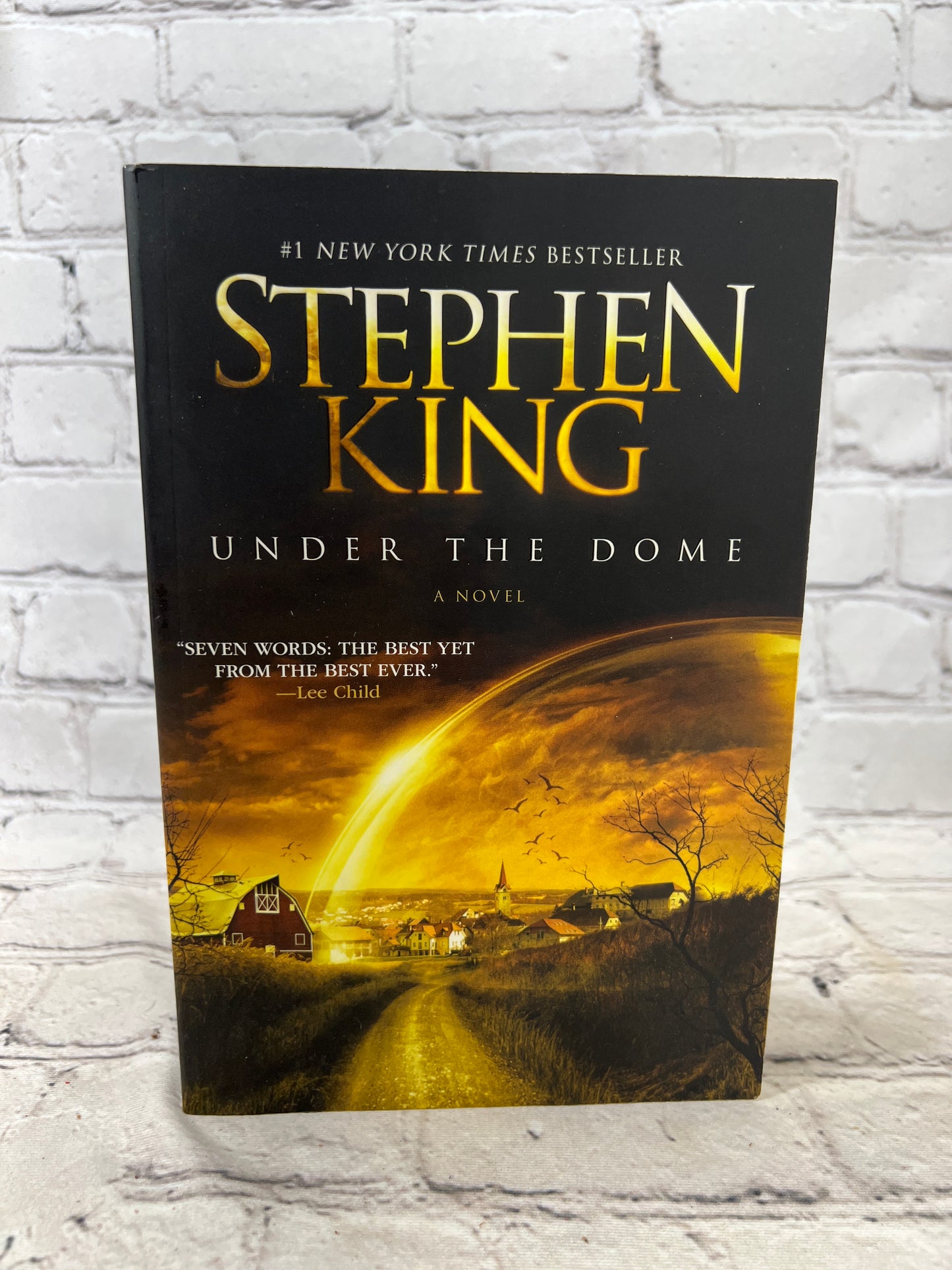 Under the Dome: A Novel BY Stephen King [1st Printing · 2010]