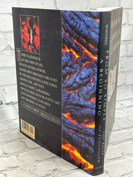 From So Simple a Beginning : The Book of Evolution by Philip Whitfield [1993]
