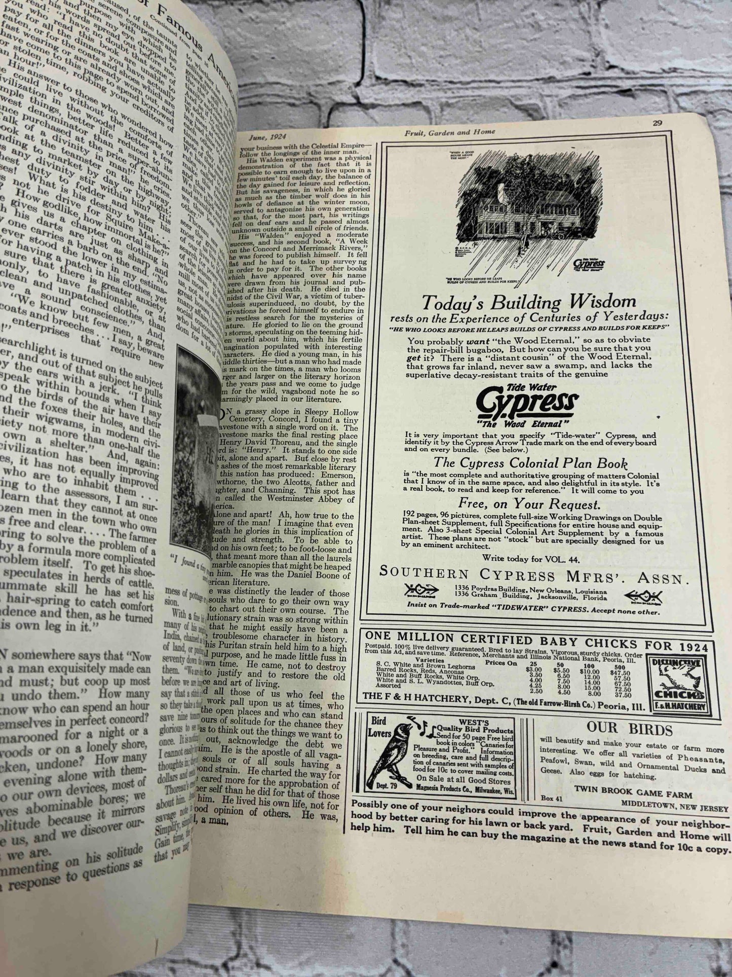 Fruit, Garden, and Home June 1924 Vol. 2 No. 10