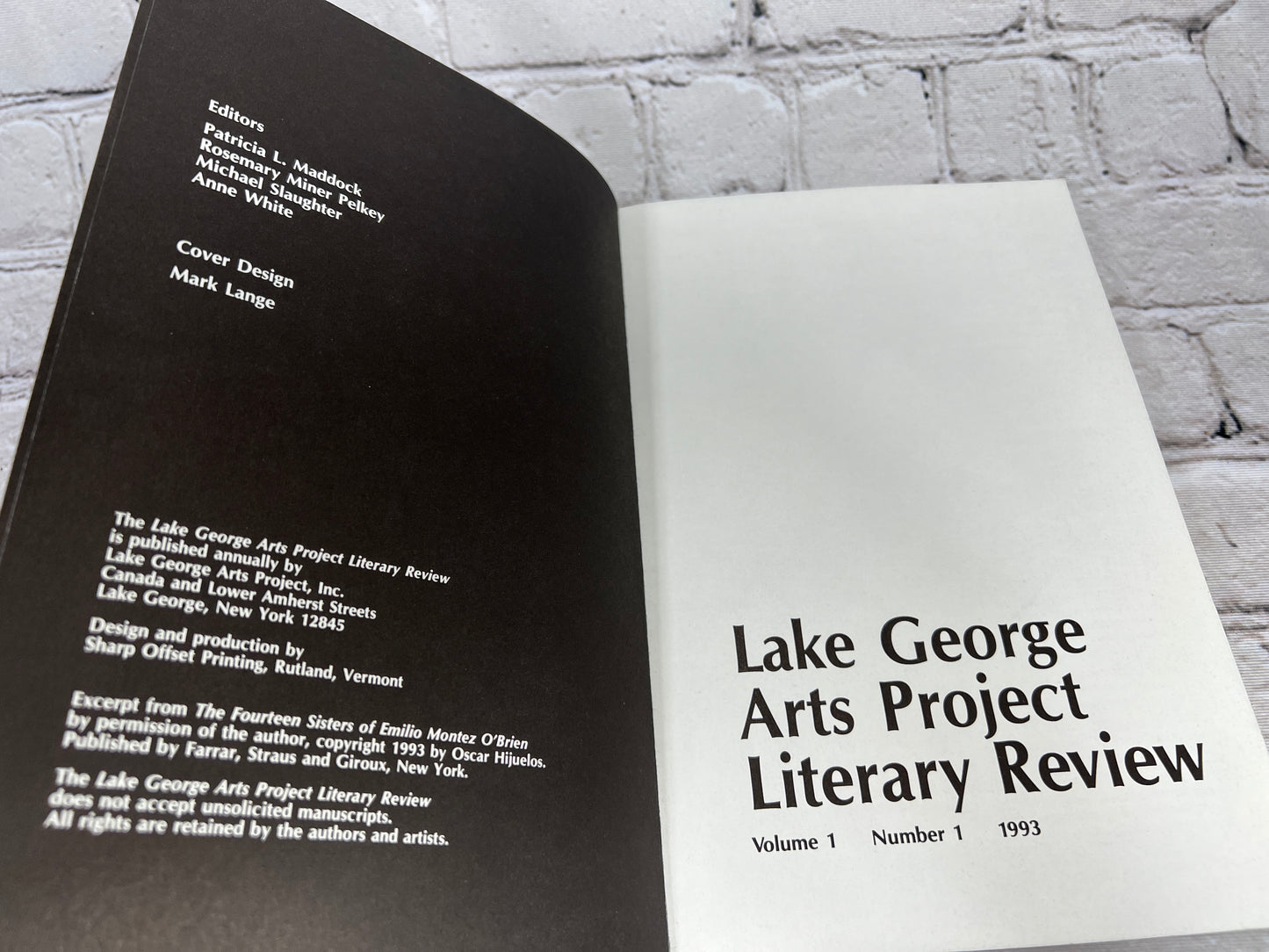 Lake George Arts Project Literary Review [Vol. 1 · Num. 1 · 1993]