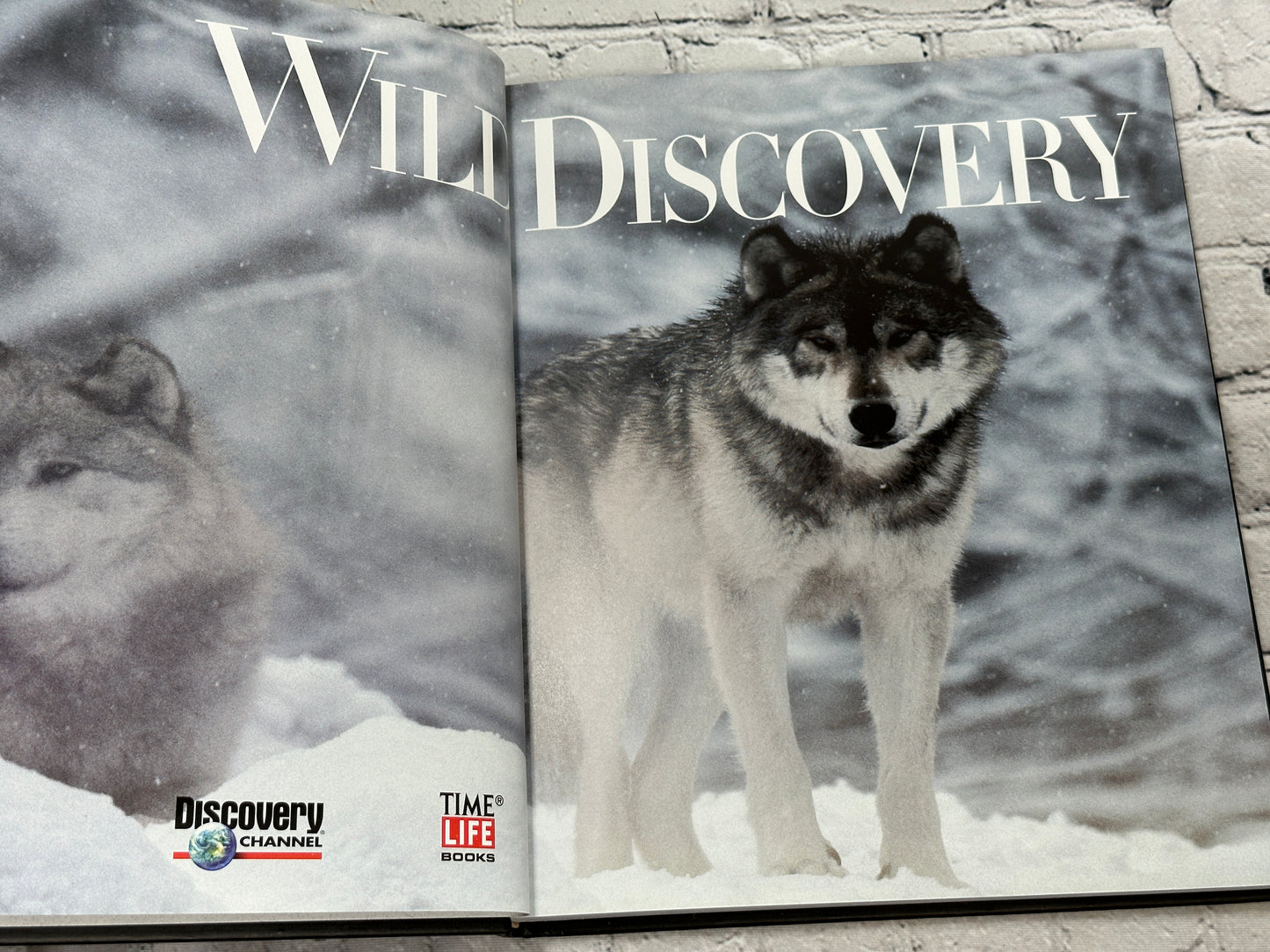 Wild Discovery by Time-Life Books [1998]