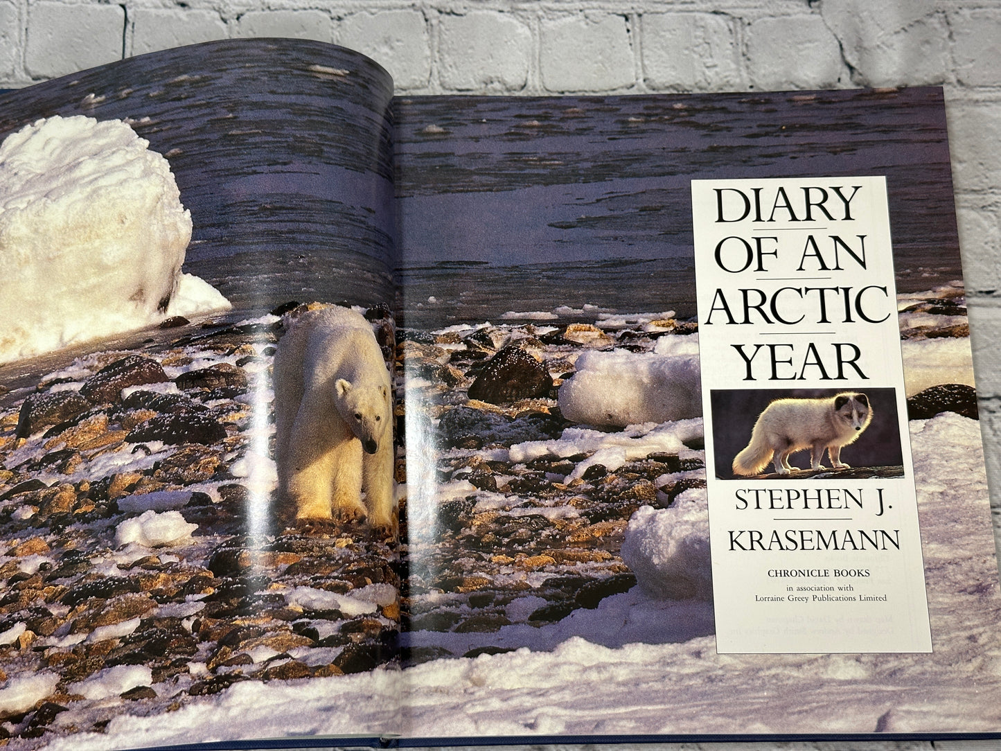 Diary of an Arctic Year By Stephen Krasemann [1991 · First Printing]