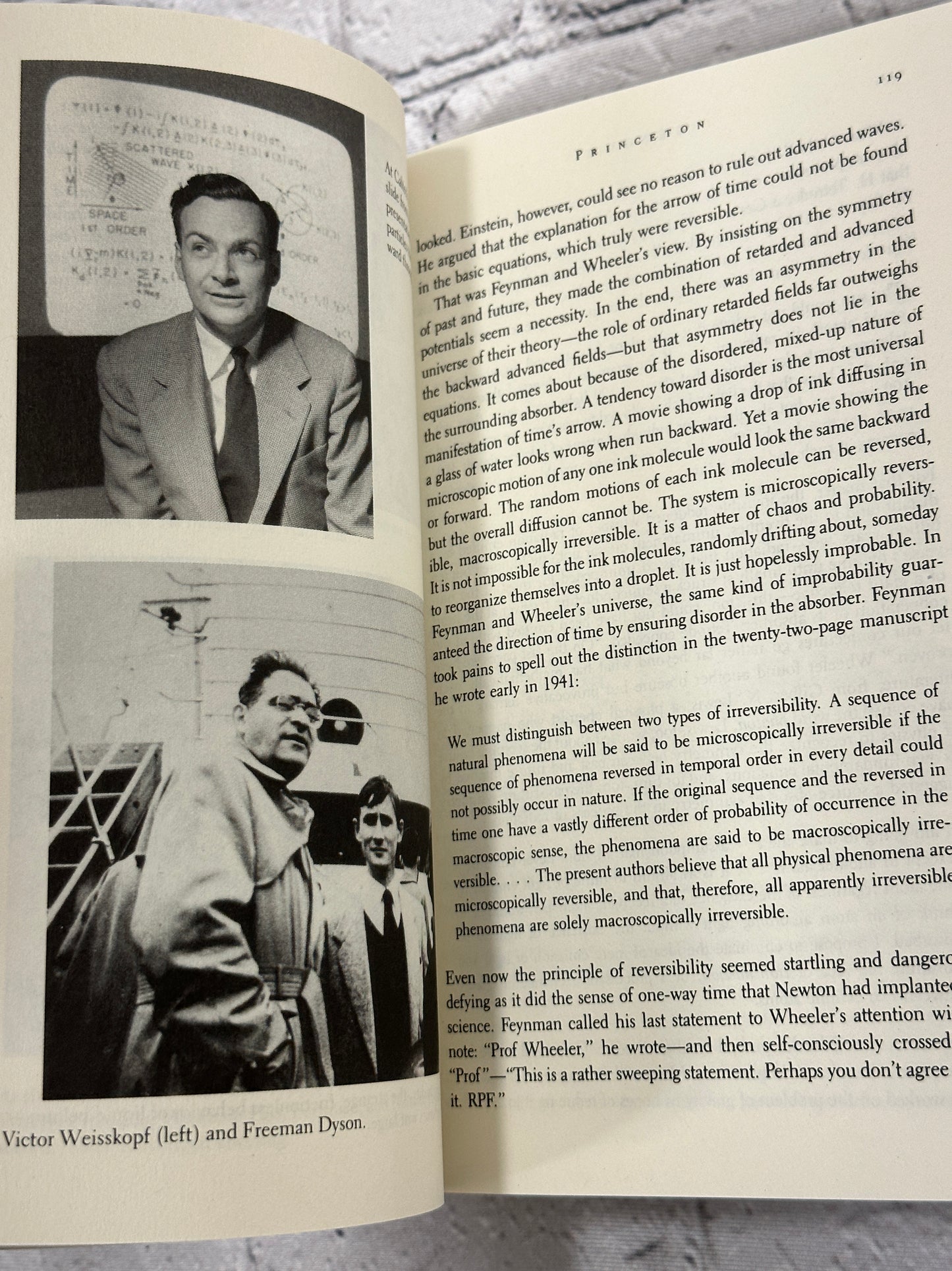 Genius: The Life and Science of Richard Feynman by James Gleick [1993]