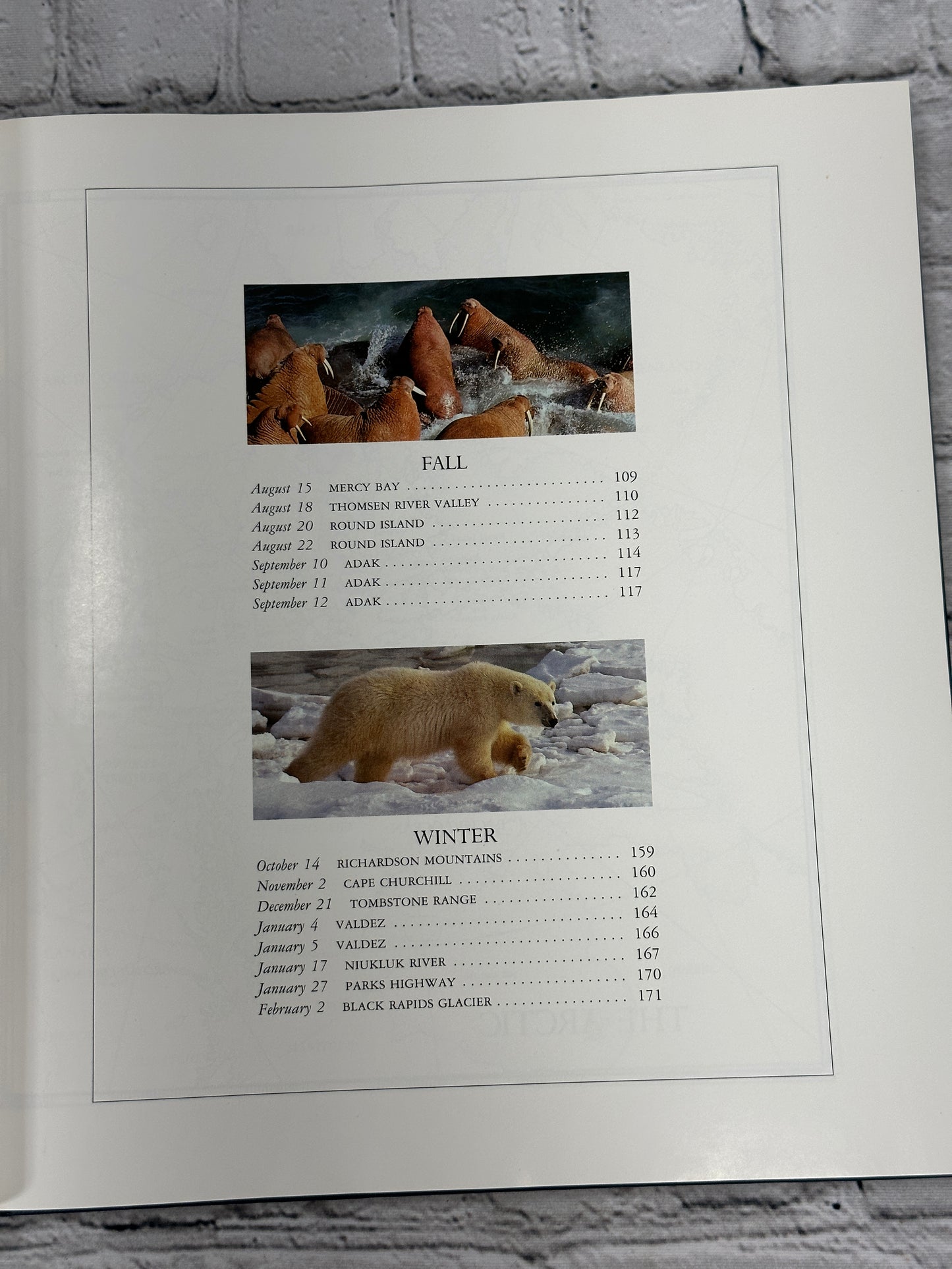 Diary of an Arctic Year By Stephen Krasemann [1991 · First Printing]