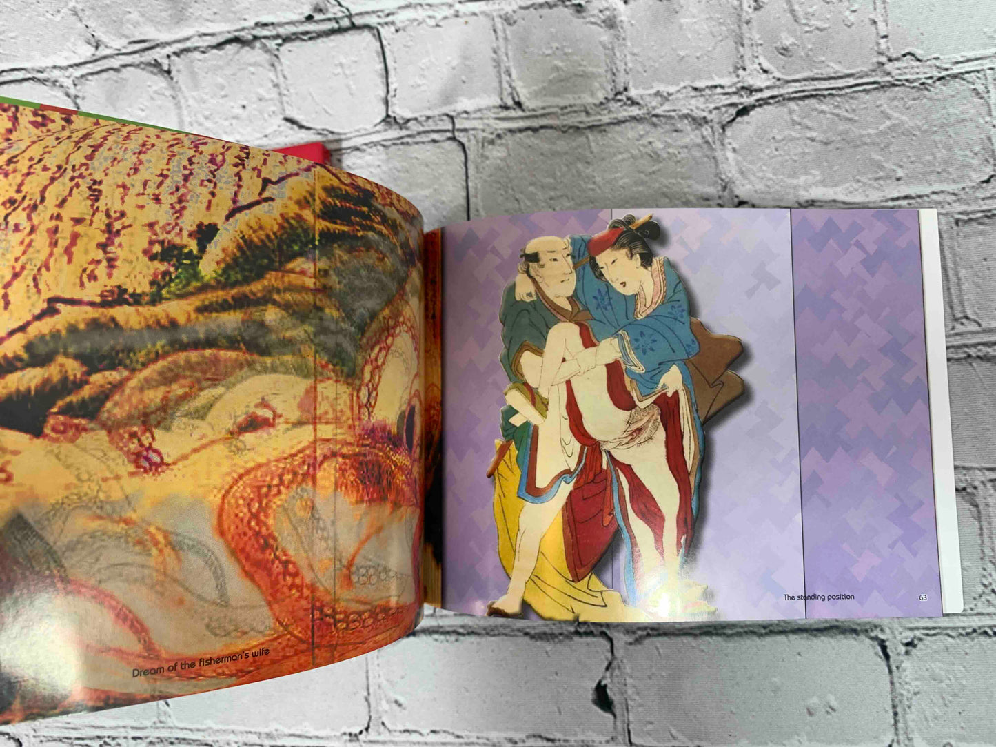 Neo Shunga: An Introduction to Japanese Pop Erotica