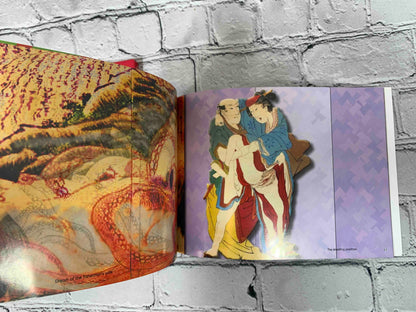 Neo Shunga: An Introduction to Japanese Pop Erotica