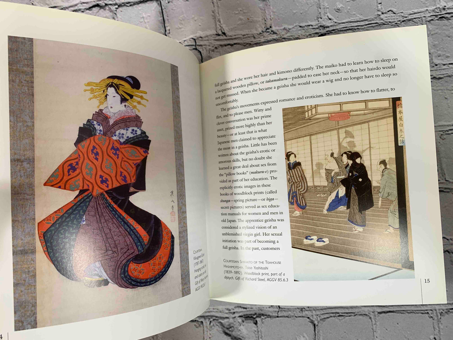 The Kimono of the Geisha-diva Ichimaru
