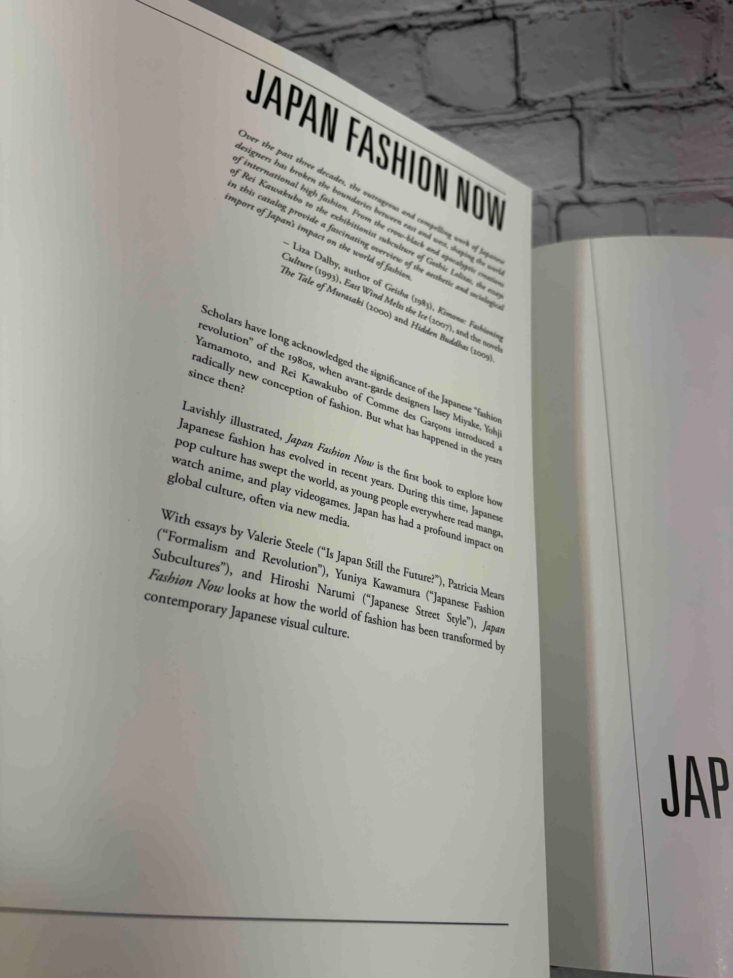 Japan Fashion Now
