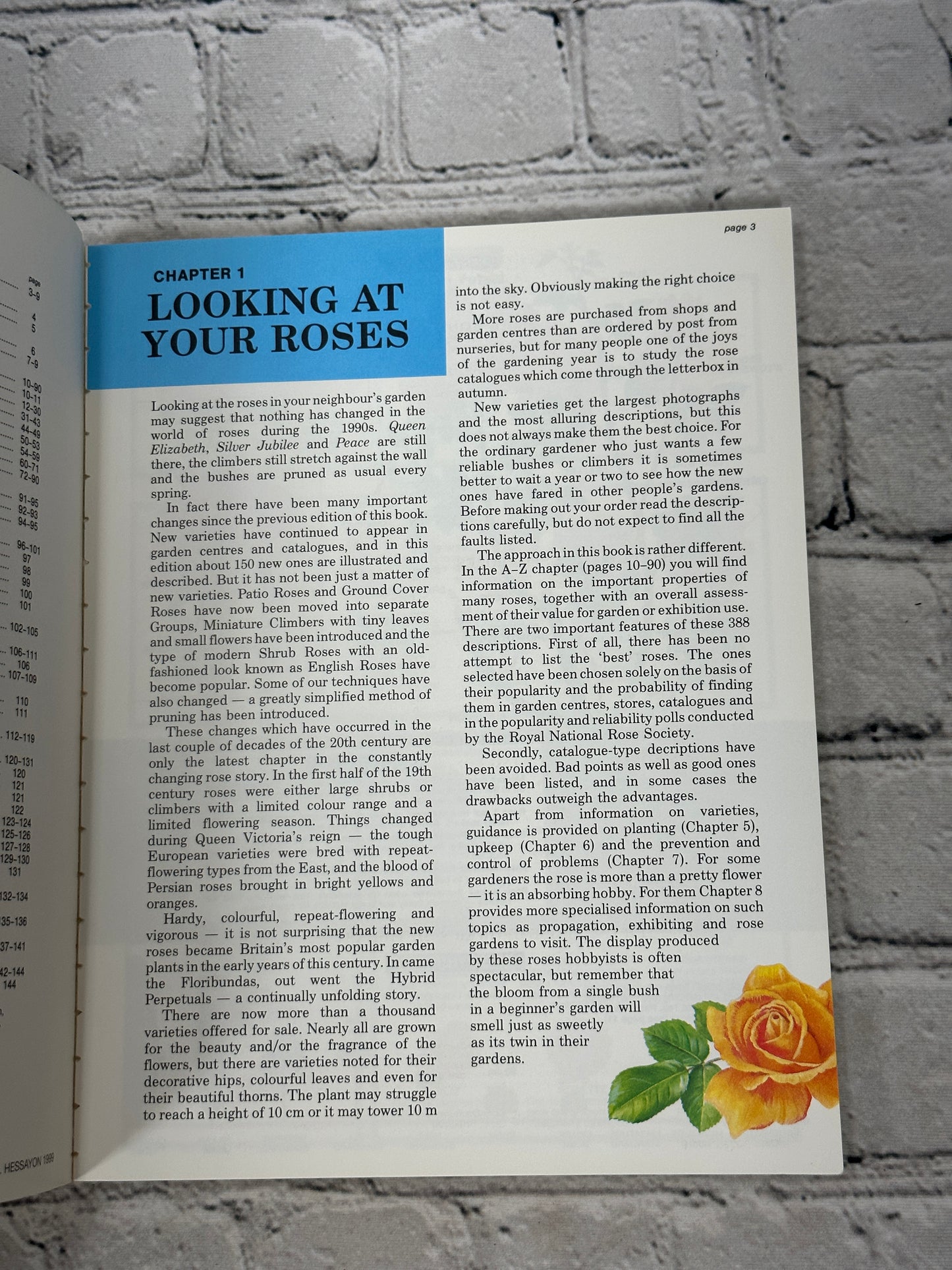 The Rose Expert by Dr. D. G. Hessayon [1996]