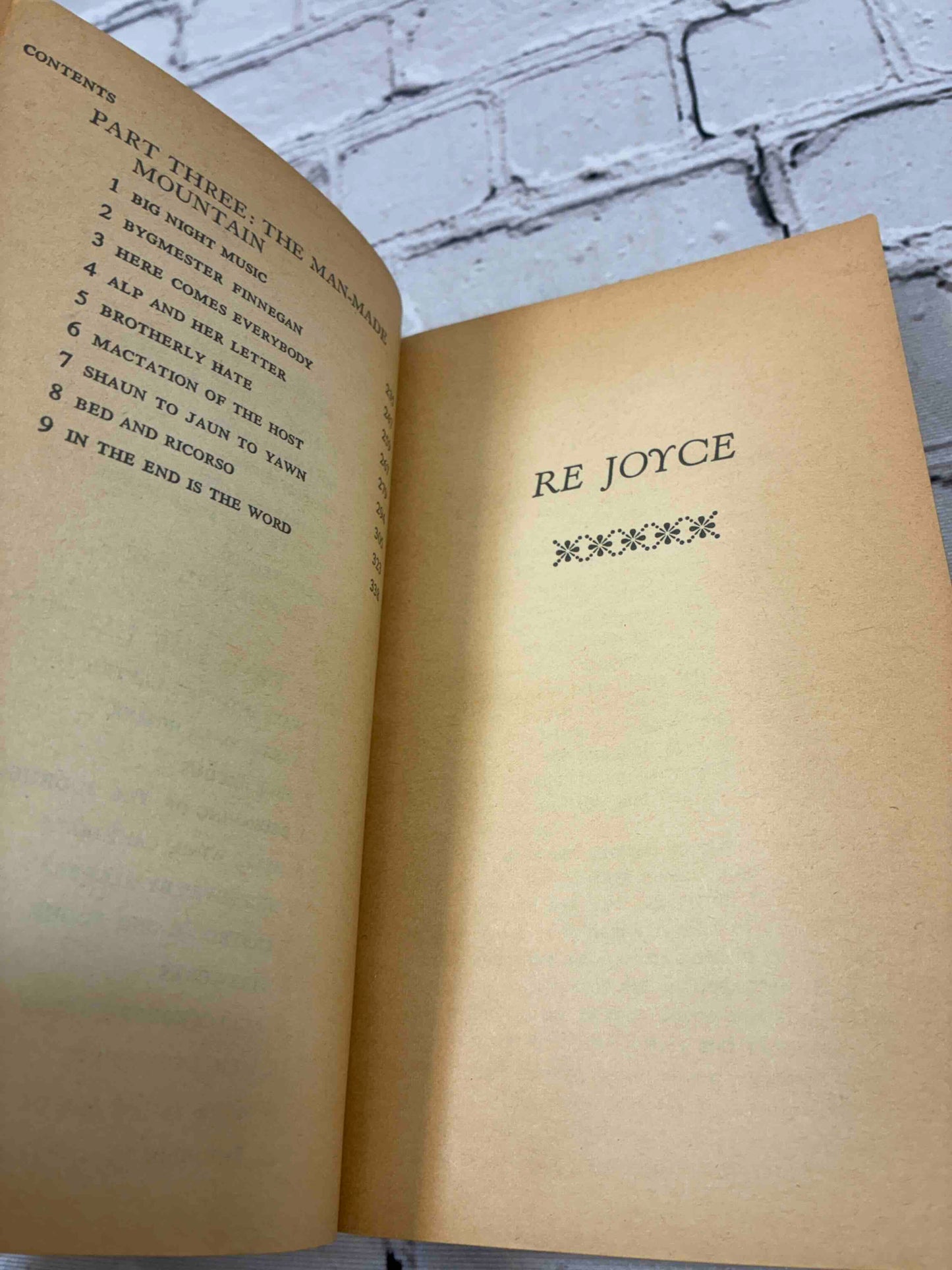 ReJoyce A Brilliant Study of James Joyce
