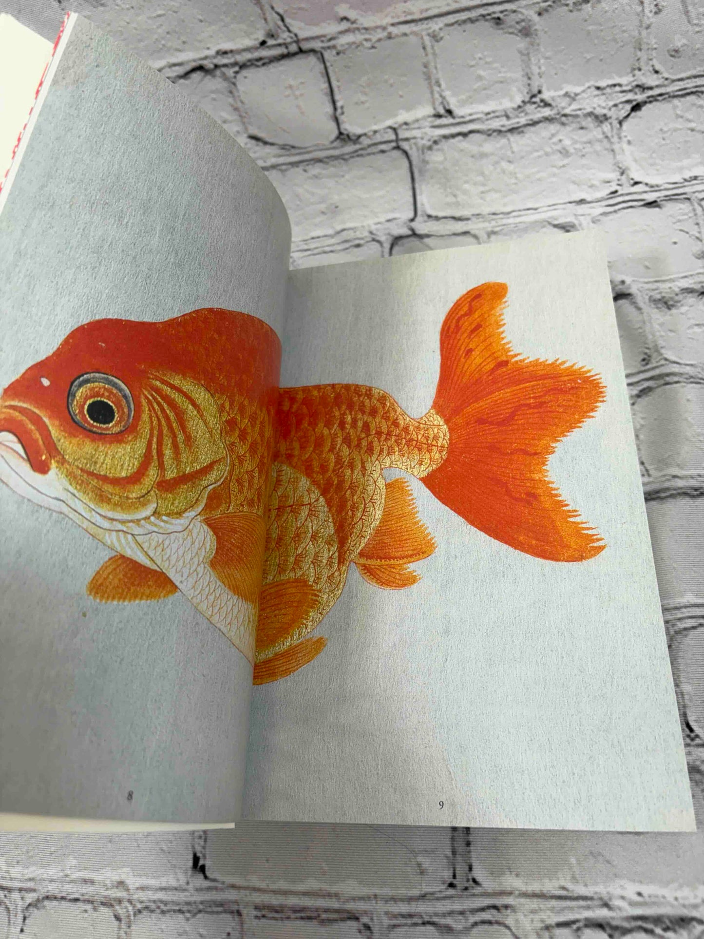Kingyo: The Artistry of Japanese Goldfish