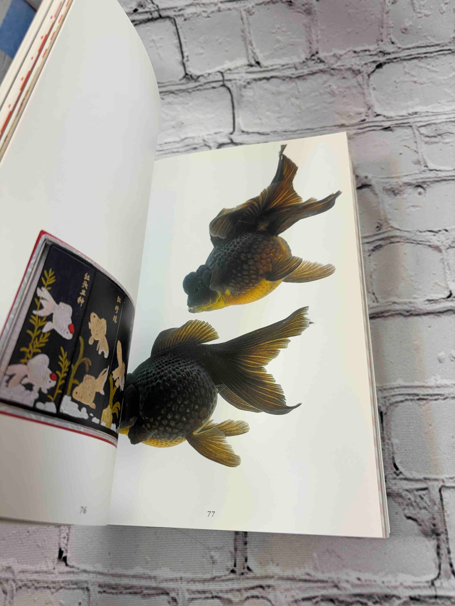 Kingyo: The Artistry of Japanese Goldfish