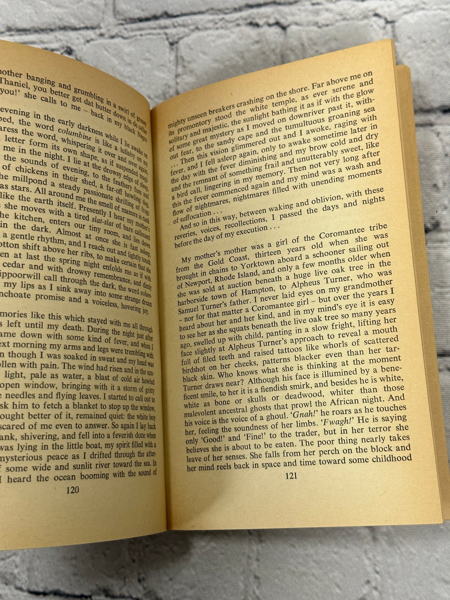 The Confessions Of Nat Turner by William Styron [1968 · Special Panther Edition]