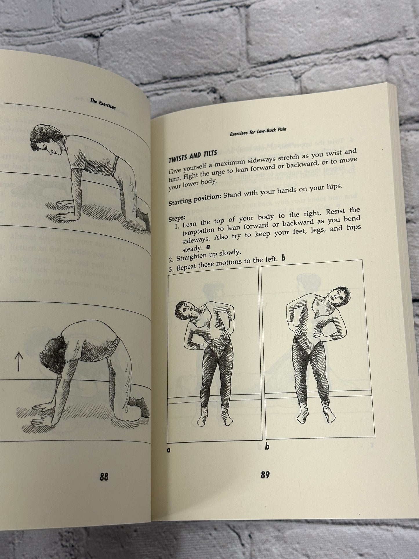 Backache: What Exercises Work by Dava Sobel and Arthur Klein [1994]