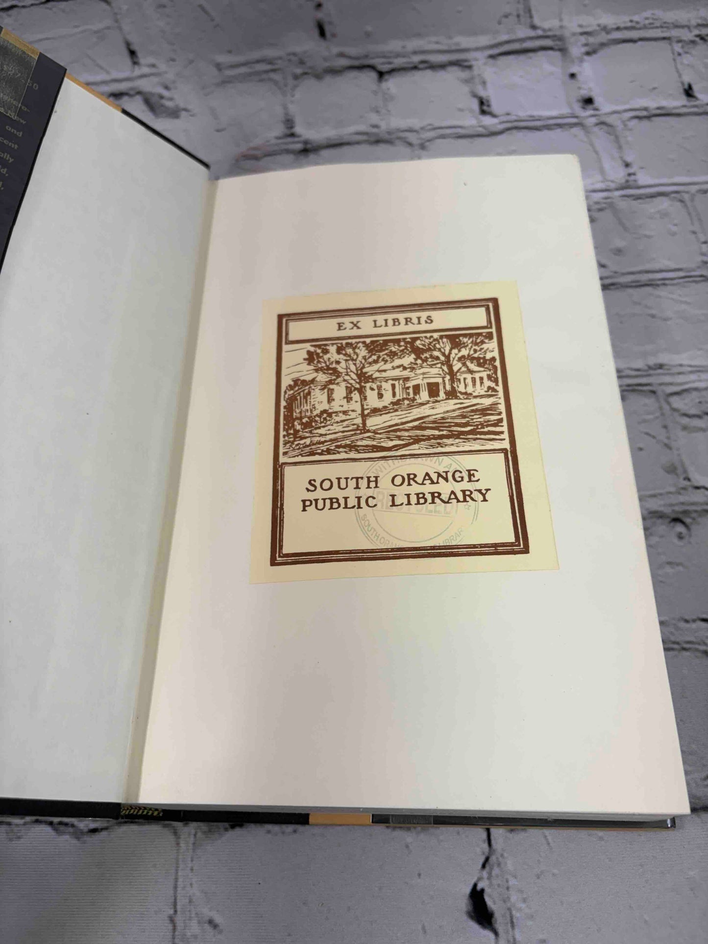 Terrible Honesty: Mongrel Manhattan in the 1920s