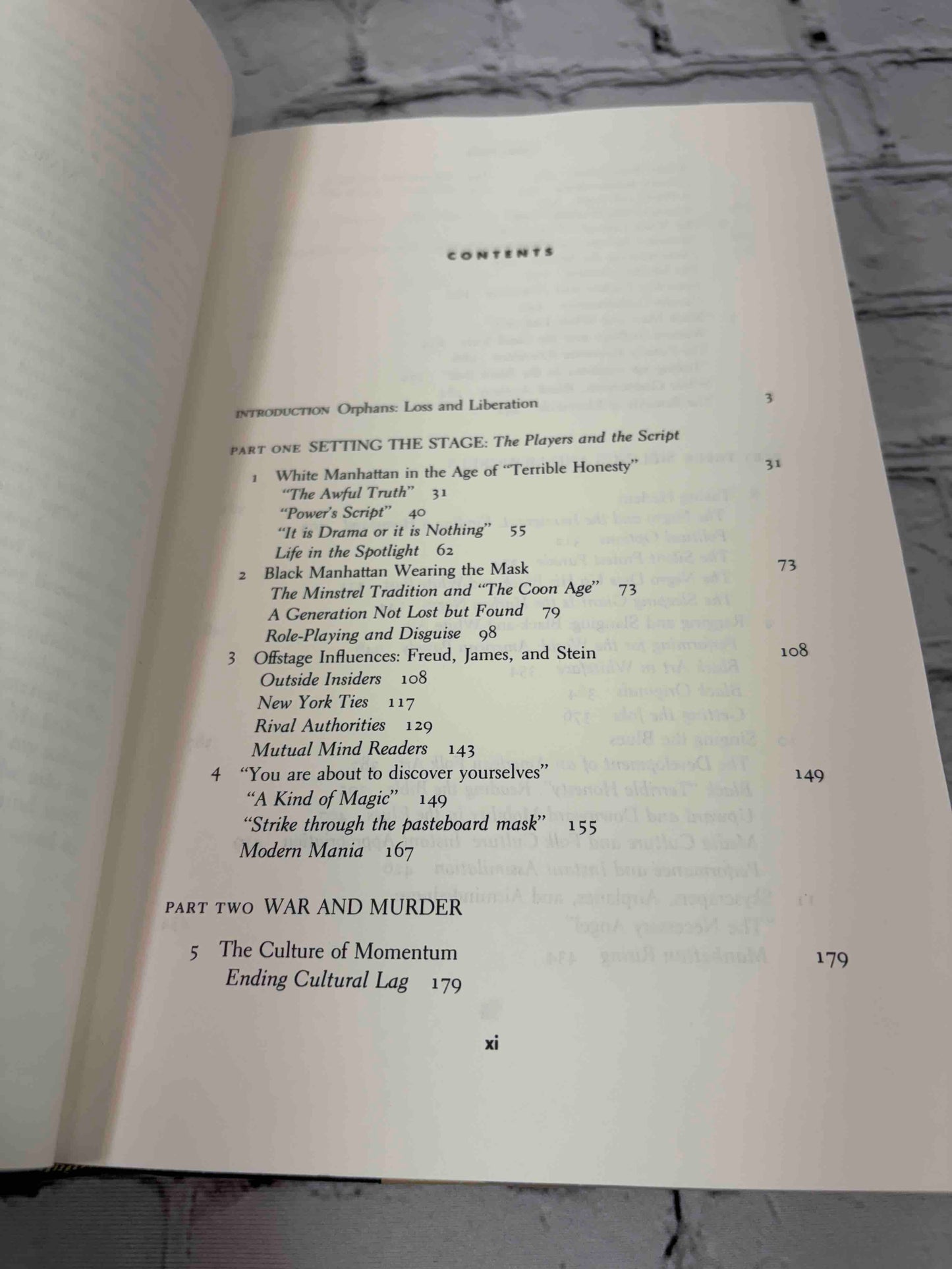 Terrible Honesty: Mongrel Manhattan in the 1920s