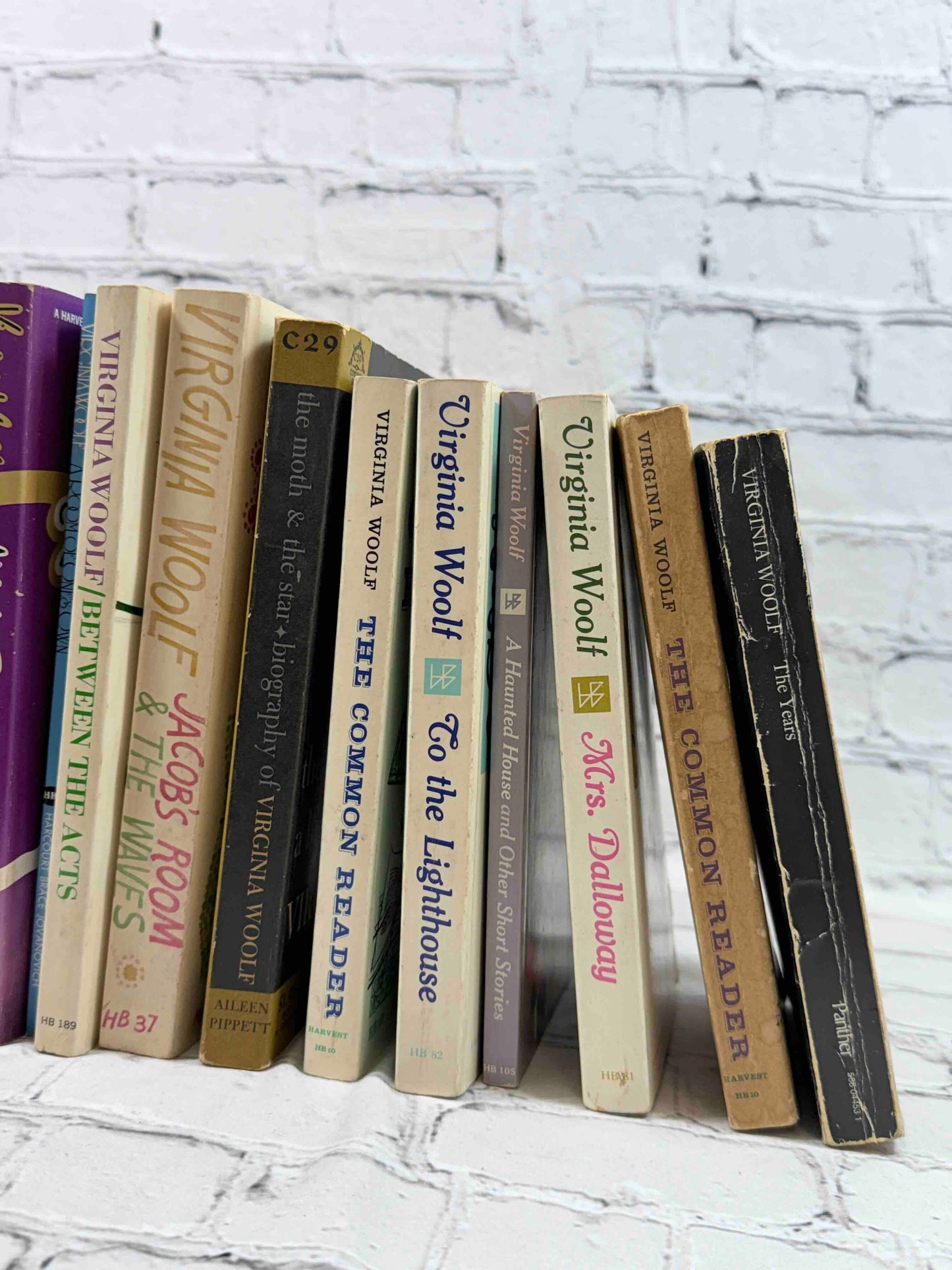 Virginia Woolf Collection (19 Books)
