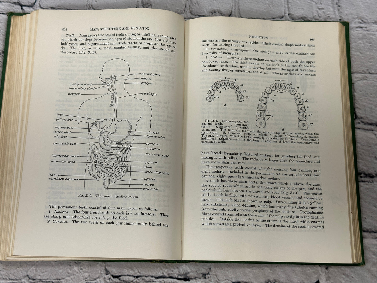 General Biology Croal Louden Smith Wismer HB Acceptable 1955 Copp Clark