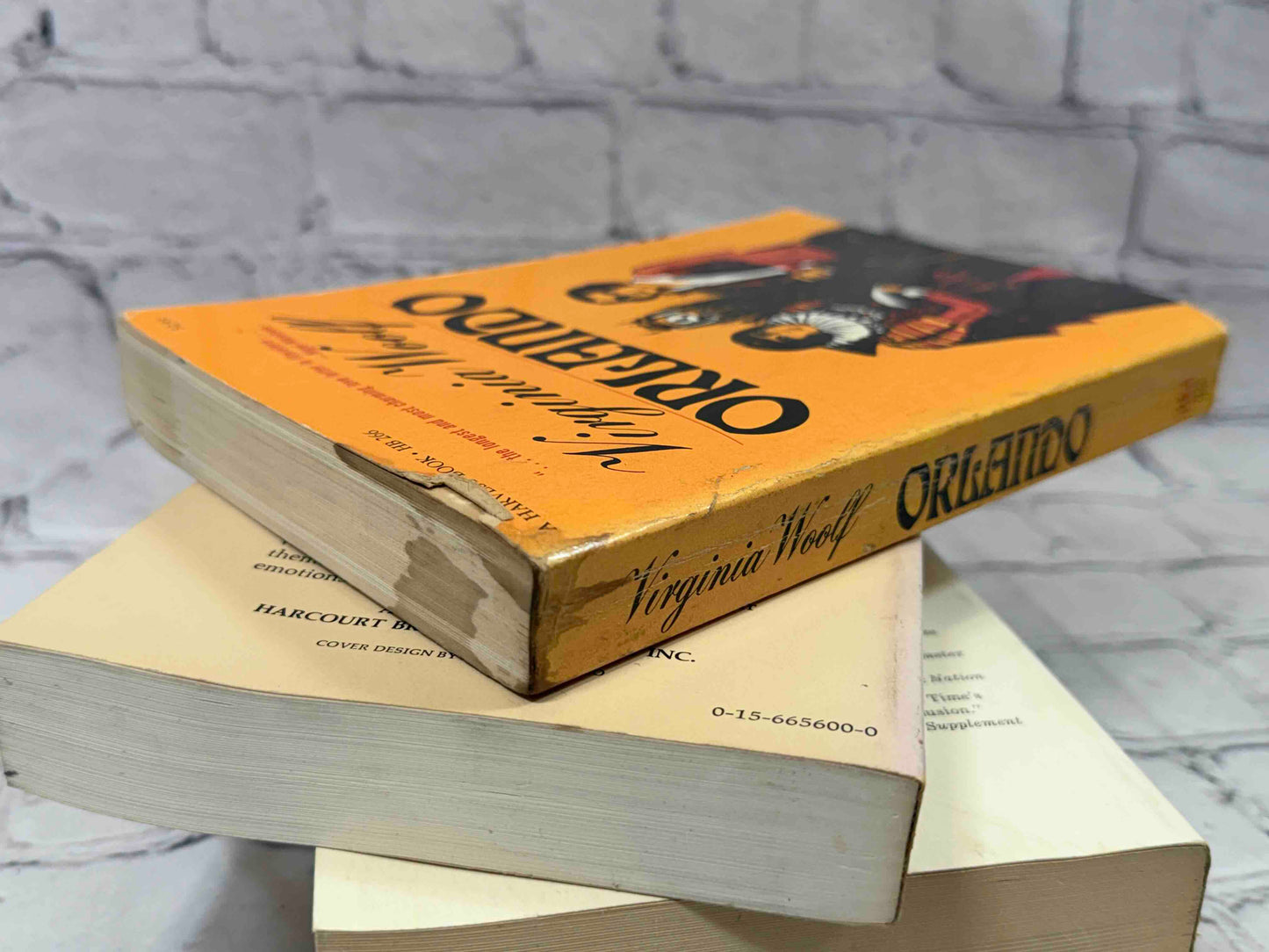Virginia Woolf Collection (19 Books)