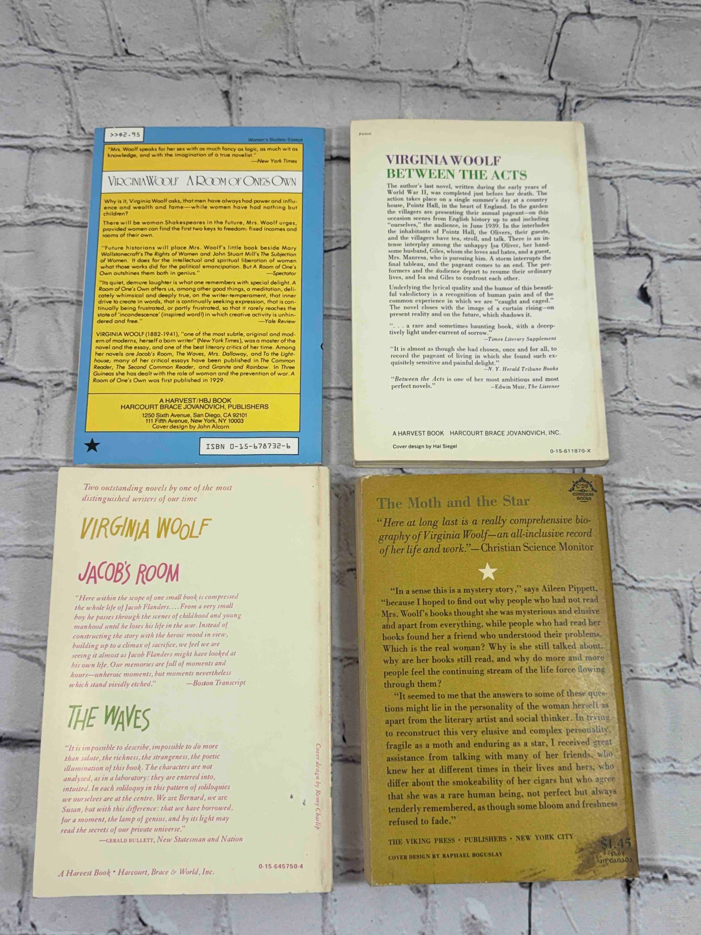 Virginia Woolf Collection (19 Books)
