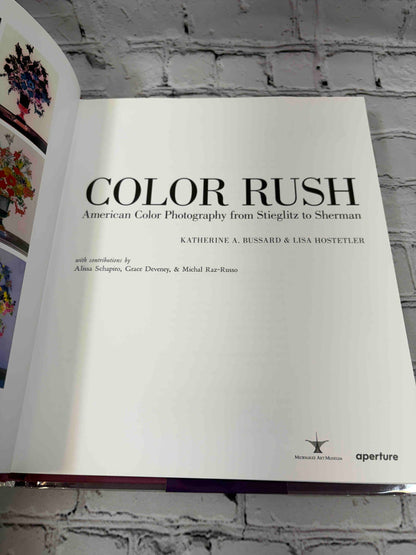 Color Rush: American Color Photography from Stieglitz to Sherman