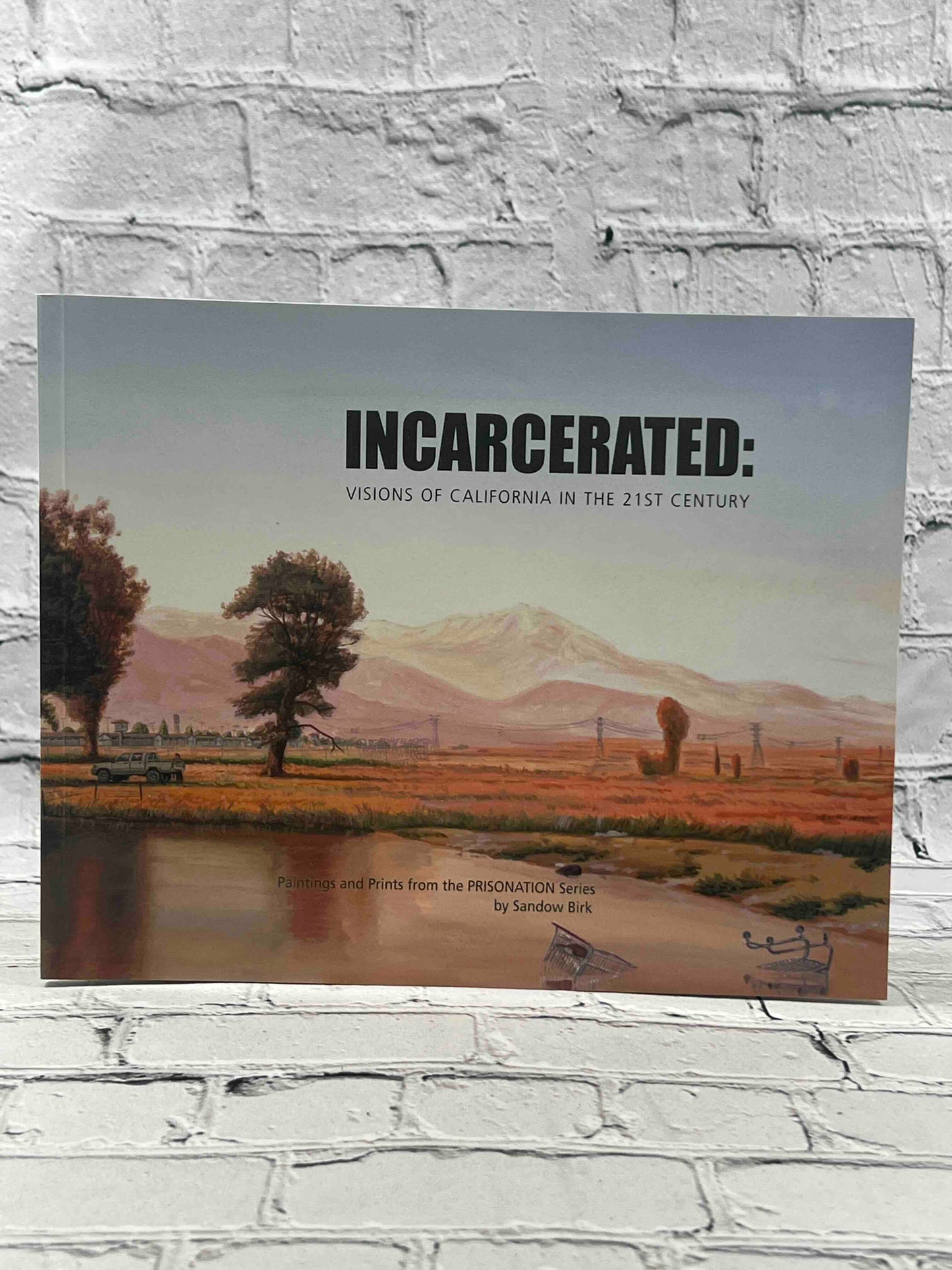 Incarcerated: Visions of California in the 21st Century