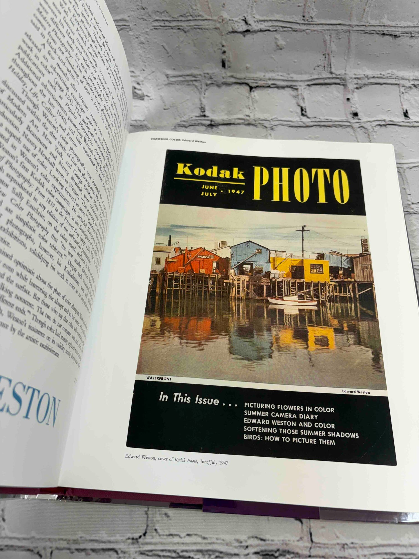 Color Rush: American Color Photography from Stieglitz to Sherman