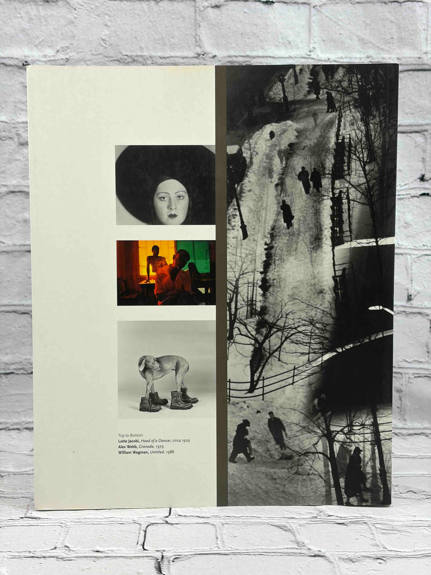 Both Sides of the Camera: Photographs from the Collection of Judith Ellis Glickman