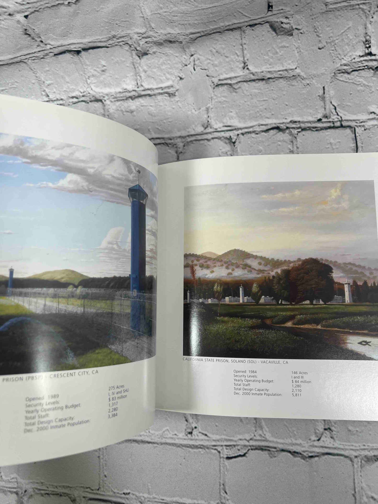 Incarcerated: Visions of California in the 21st Century