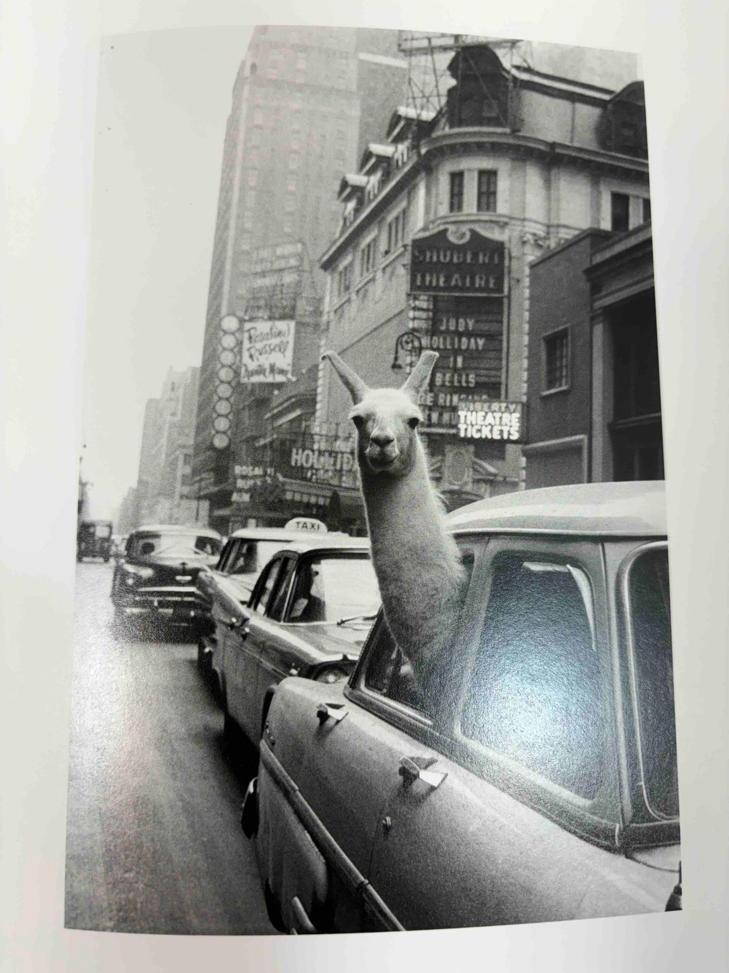 Both Sides of the Camera: Photographs from the Collection of Judith Ellis Glickman