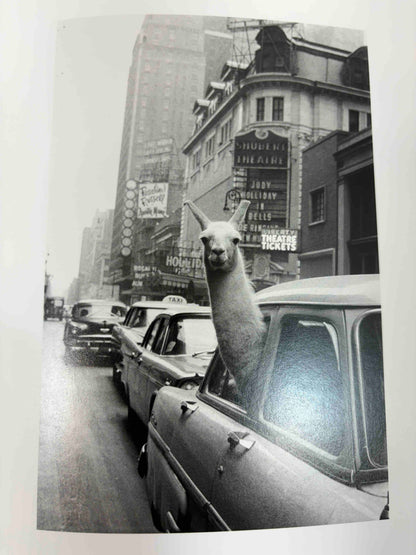 Both Sides of the Camera: Photographs from the Collection of Judith Ellis Glickman