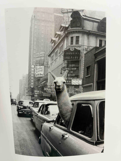 Both Sides of the Camera: Photographs from the Collection of Judith Ellis Glickman