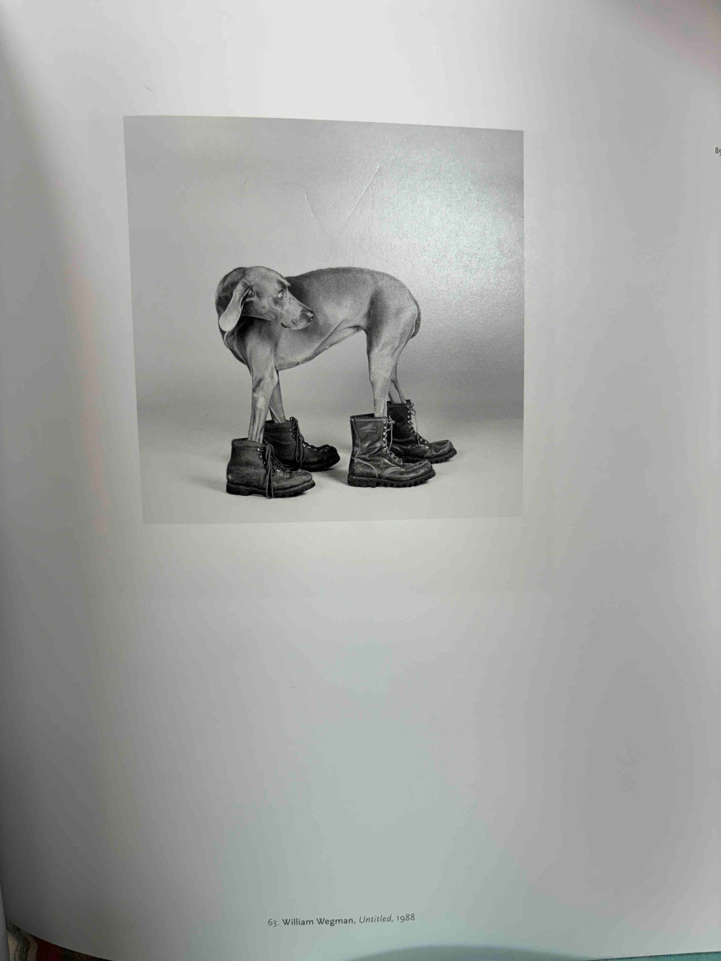 Both Sides of the Camera: Photographs from the Collection of Judith Ellis Glickman