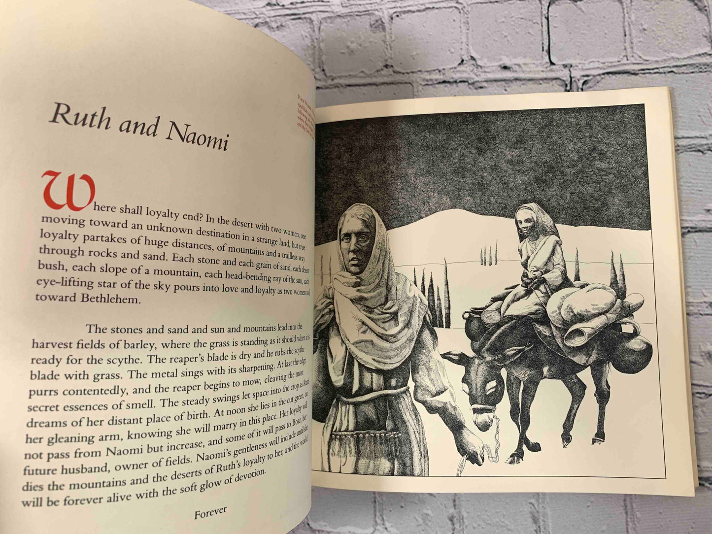 God's Images: The Bible A New Vision