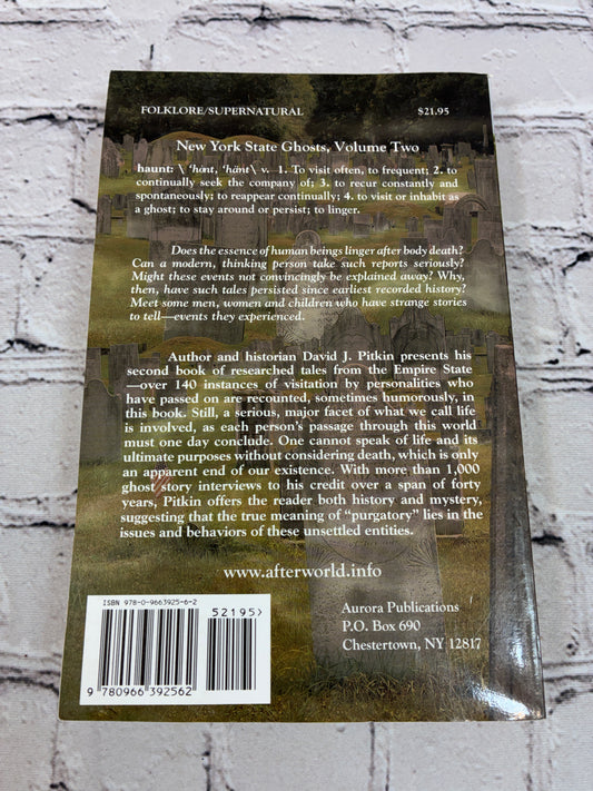 New York State Ghosts, Volume Two