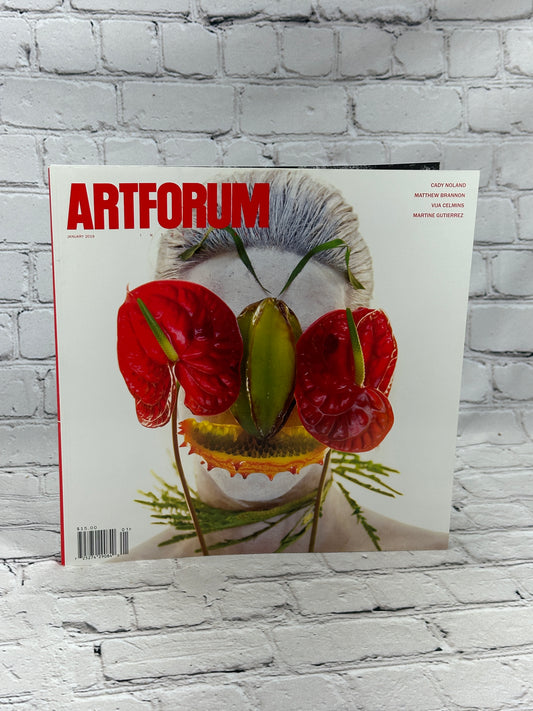 Artforum Cady Noland Matthew Brannon Vija Celmins  Martine Gutierrez [Jan. 2019]