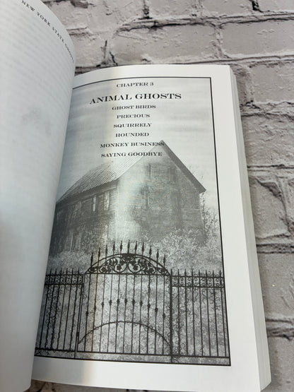 New York State Ghosts, Volume Two