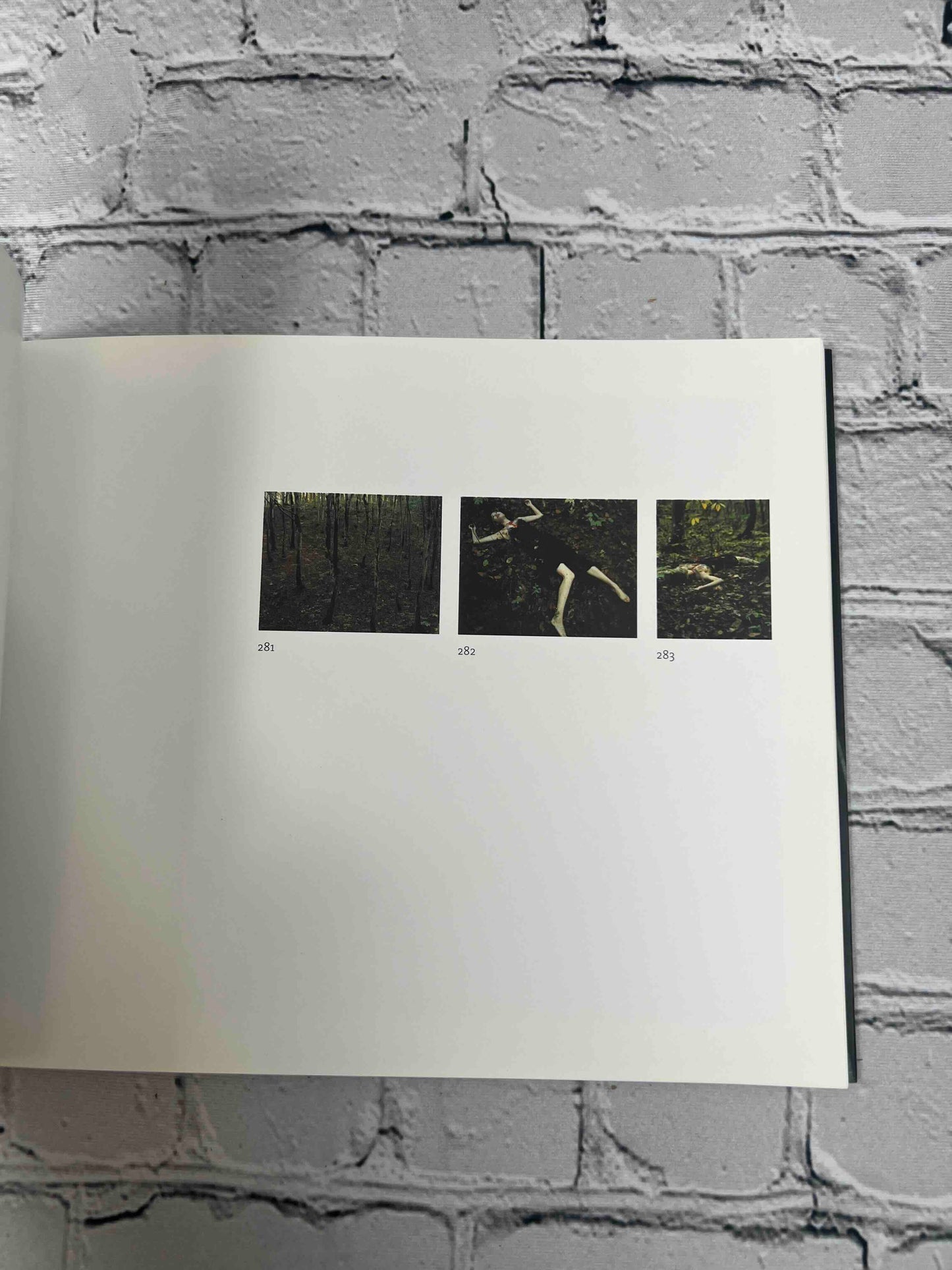 Izima Kaoru 2000-2001: Landscapes With a Corpse