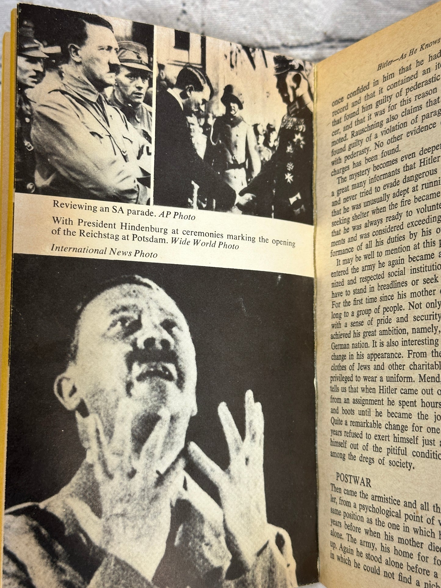 The Mind of Adolf Hitler: The Secret Wartime Report by Walter Langer [1973 · Signet Classics]