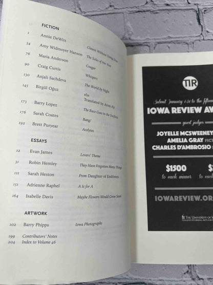 Iowa Review (46/3 · Winter 2016/17)