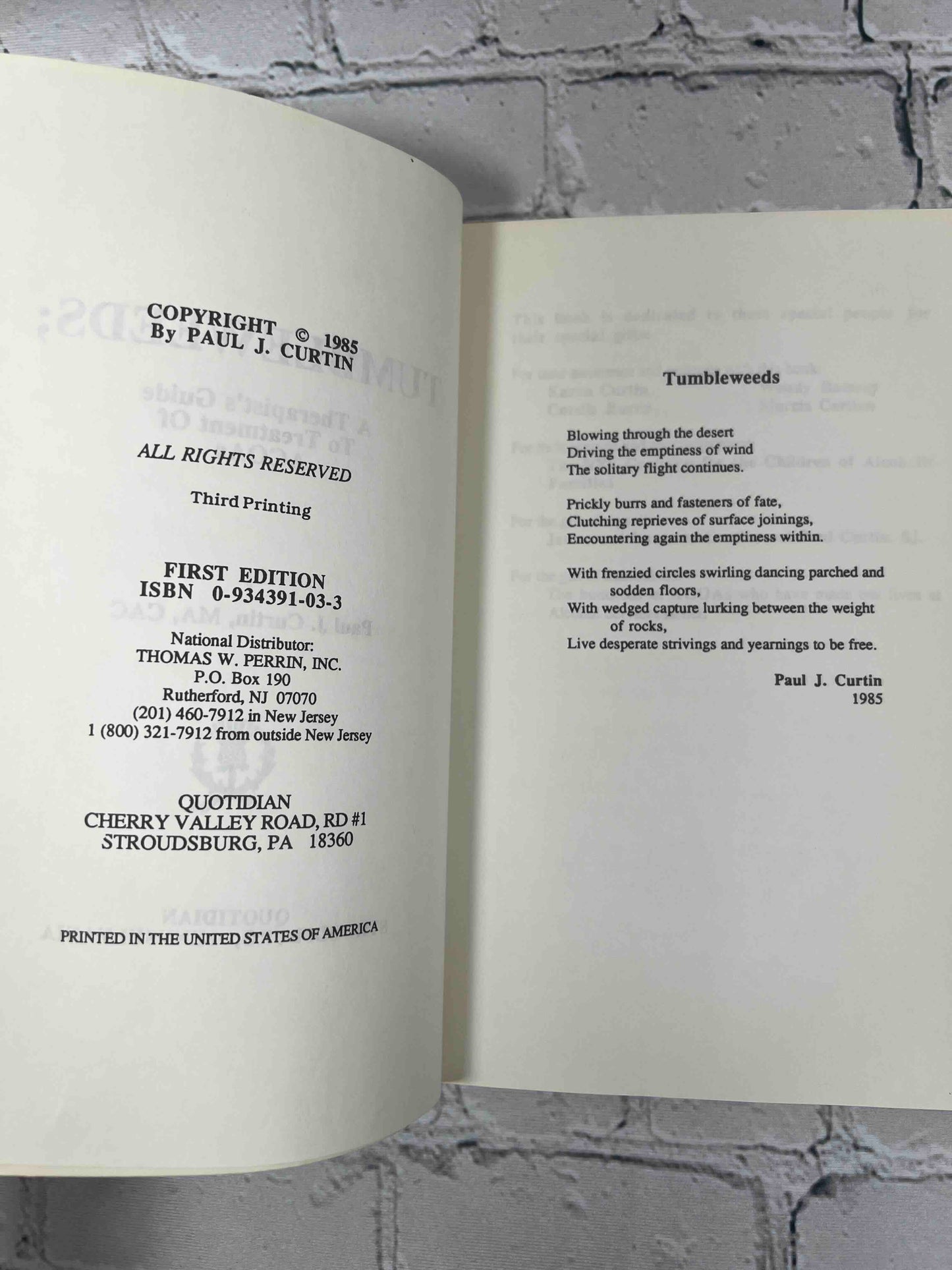 Tumbleweeds: A Therapist's Guide to Treatment of Adult Children of Alcholics