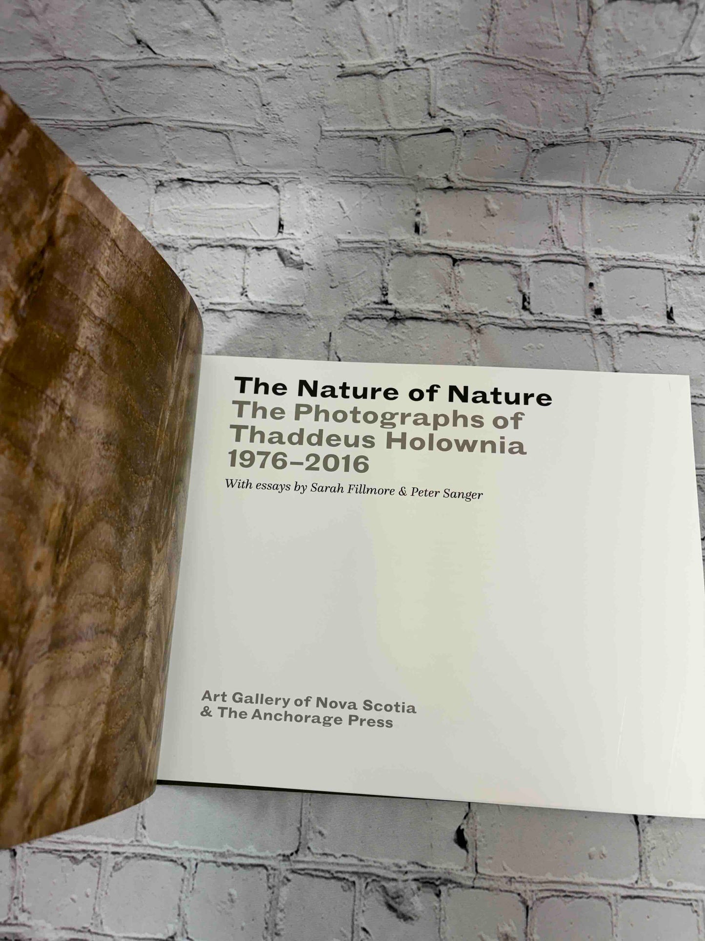 The Nature of Nature: The Photographs of Thaddeus Holownia 1976-2016
