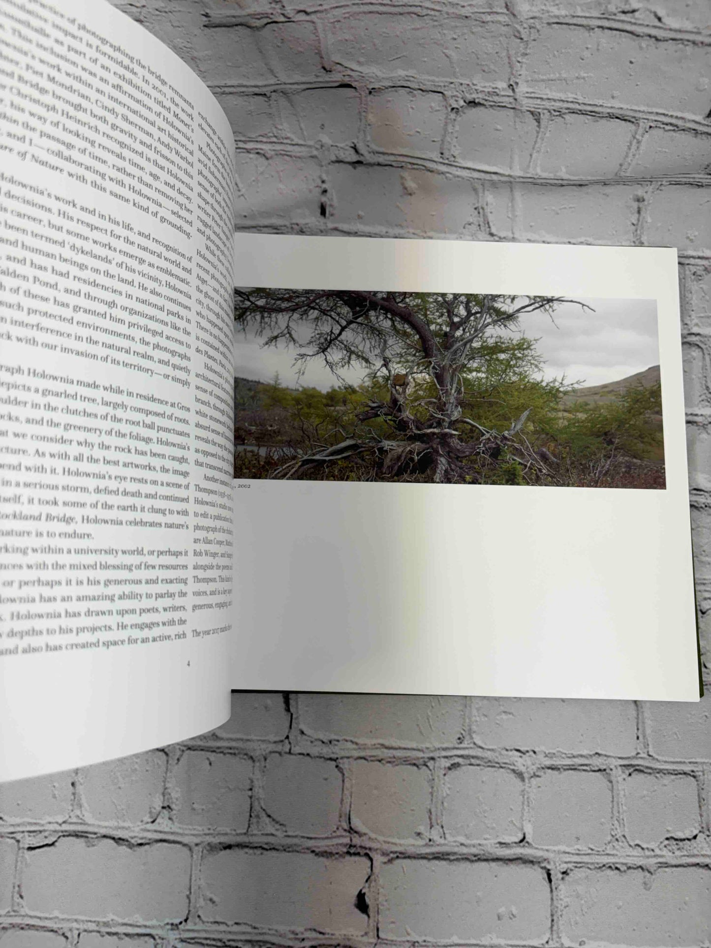 The Nature of Nature: The Photographs of Thaddeus Holownia 1976-2016