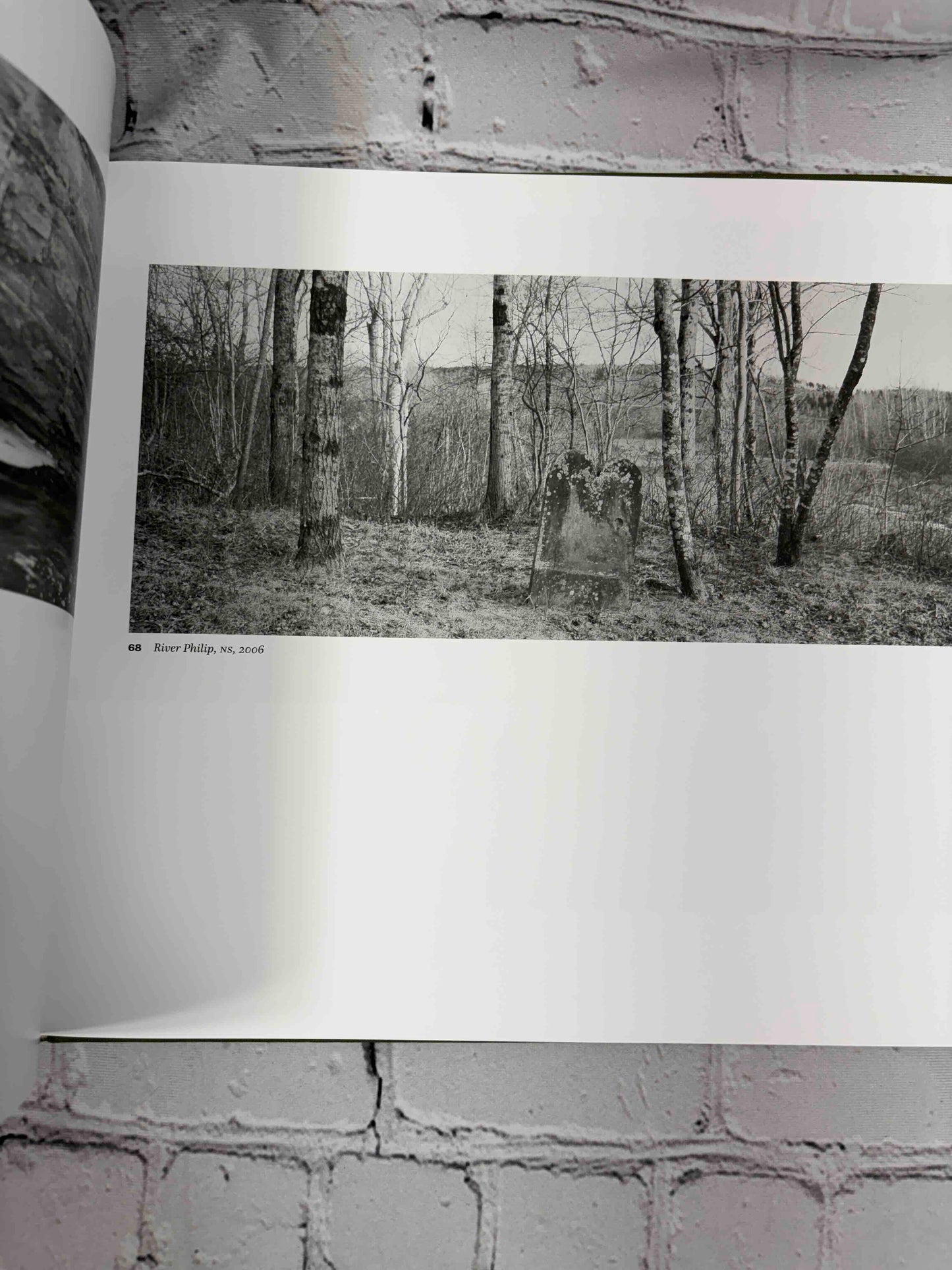 The Nature of Nature: The Photographs of Thaddeus Holownia 1976-2016
