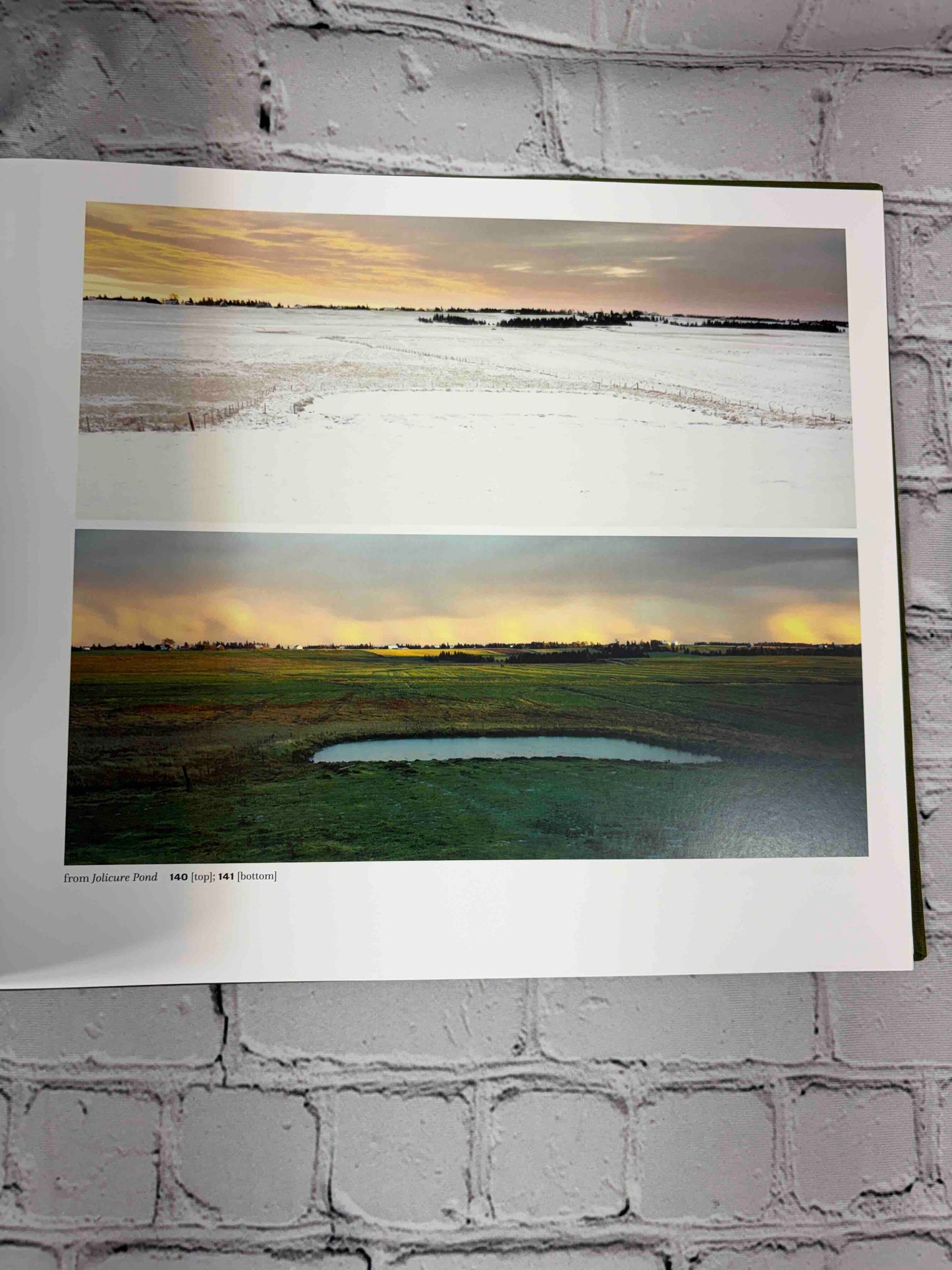 The Nature of Nature: The Photographs of Thaddeus Holownia 1976-2016