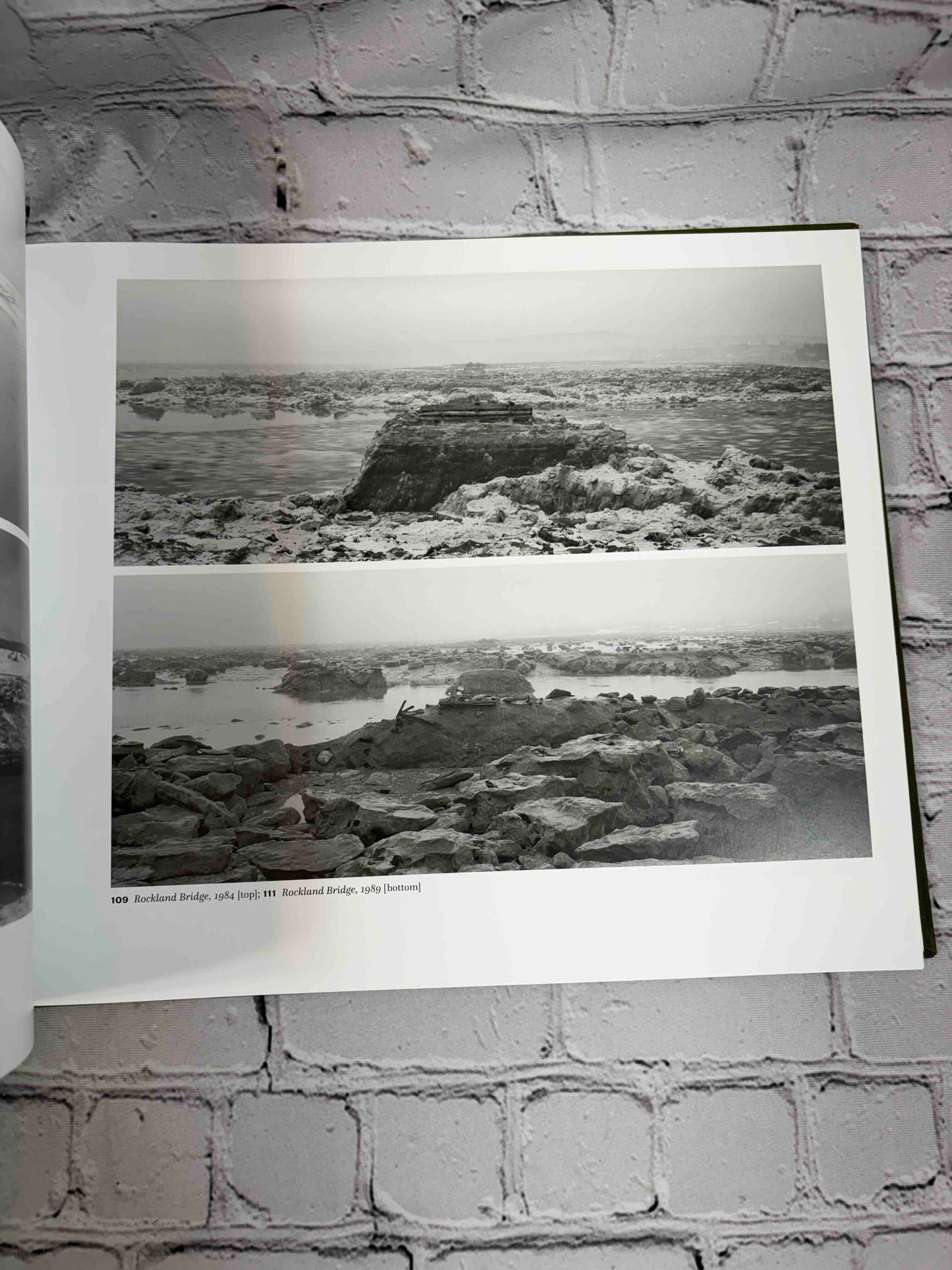 The Nature of Nature: The Photographs of Thaddeus Holownia 1976-2016