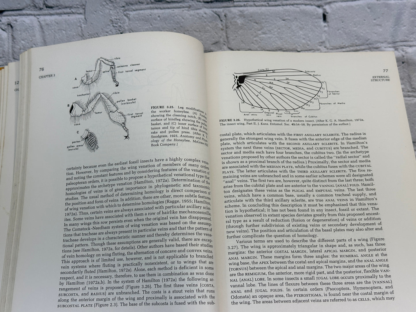 Entomology By Cedric Gillot [1980]