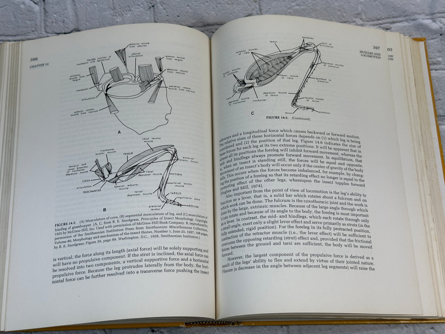 Entomology By Cedric Gillot [1980]