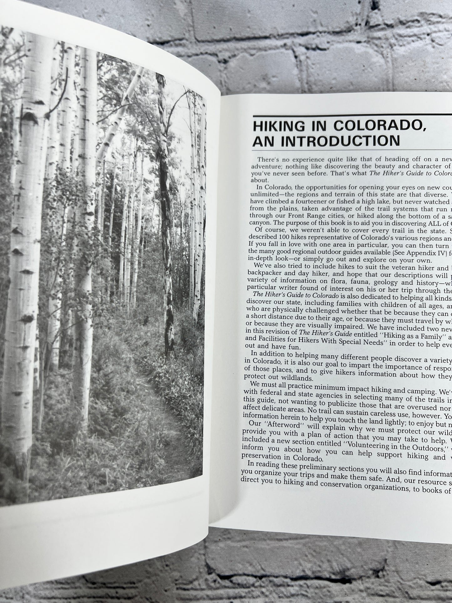 The Hiker's Guide To Colorado Caryn And Peter Boddie [1995]