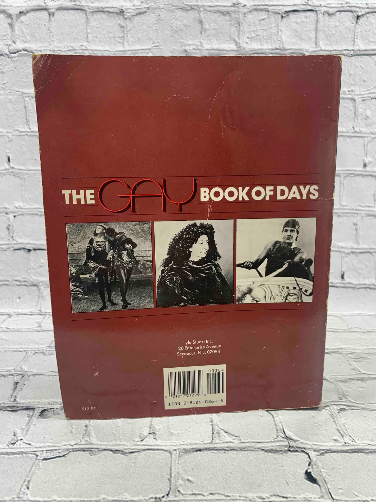 The Gay Book of Days: An Evocatively Illustrated Who's Who of Who Is, Was, May Have Been, Probably Was, and Almost Certainly Seems to Have Been Gay During the Past 5000 Years